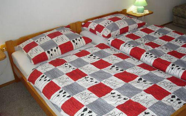 Apartments Vidic