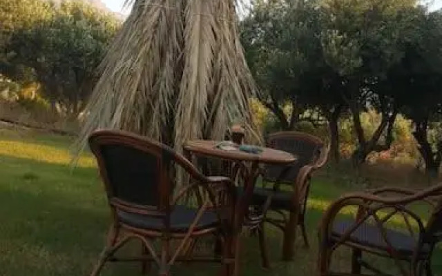 Rena's House