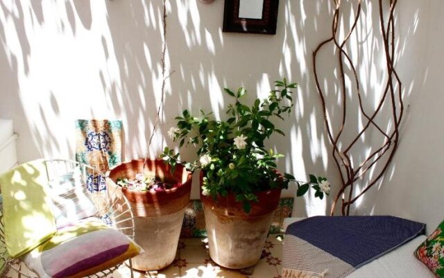 Hostal Casa Limon