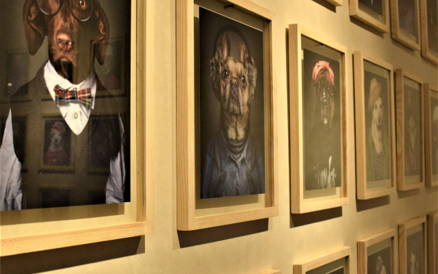 Miostello Lifestyle Riad Marrakech