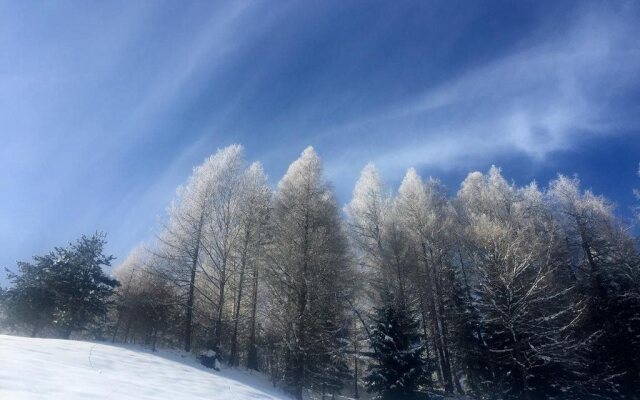 Hotel Sonnen Alp