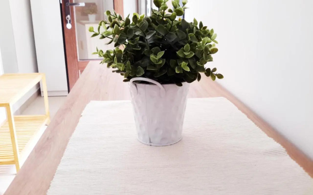 Albert Home