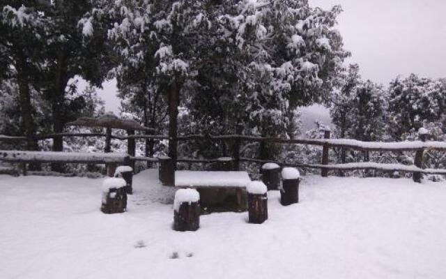 Binsar Oak Paradise