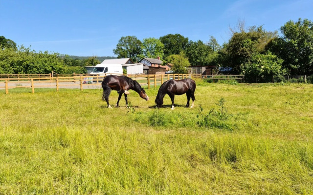 Glamping at The Homestead - Ensuite Bell Tent