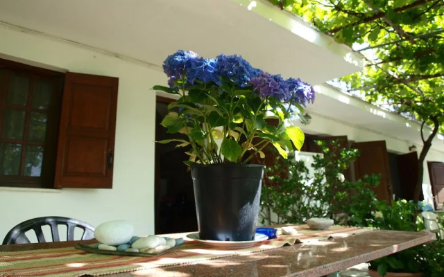Paradeisos Studio With Garden View