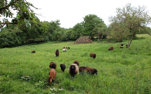 The Breton Apartment at Chateau Le Mur