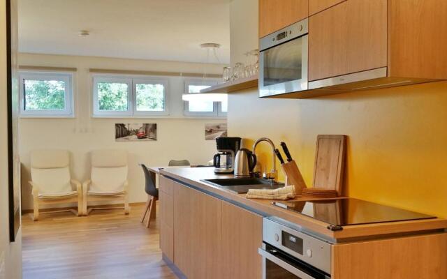 Apartment Fastenberg Schladming - Top11 by AA Holiday Homes