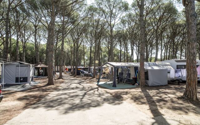 Camping Neptuno