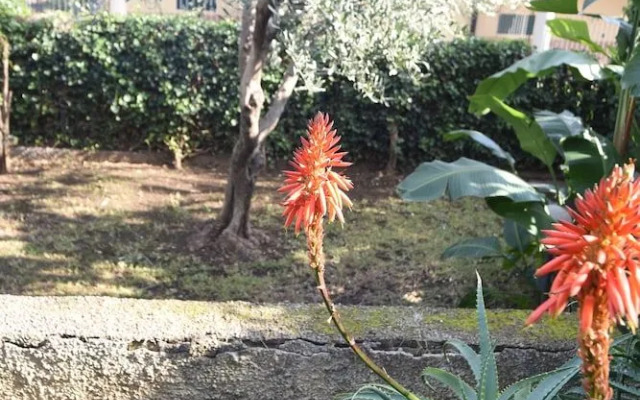 Guest House Villa "Contea di Aci"