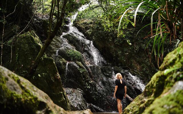 Daintree Ecolodge