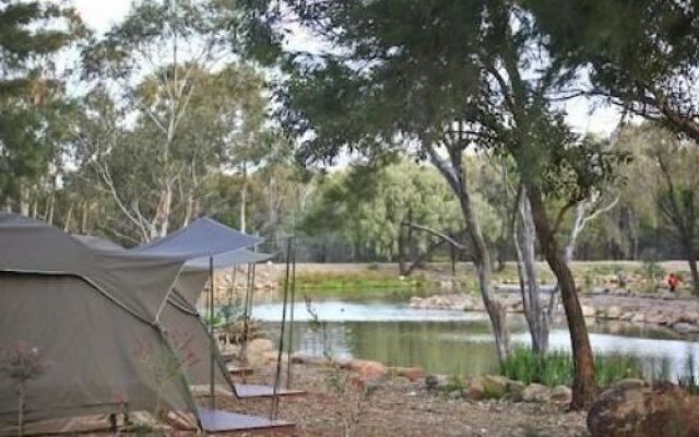 Billabong Camp, Taronga Western Plains Zoo