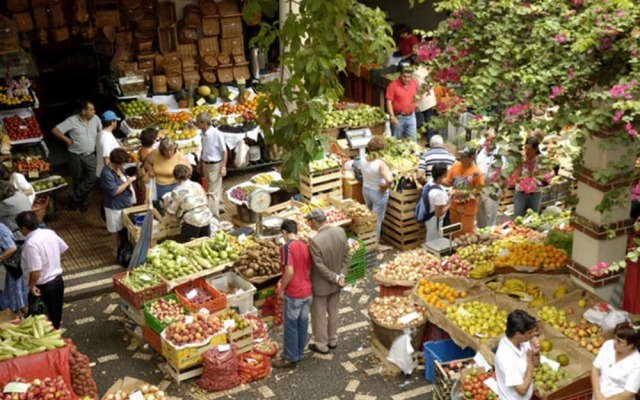 Cute Studio in Funchal