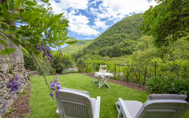 Geraneo among vineyard