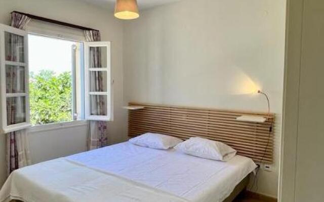 Wood + Blossom by Gcollection