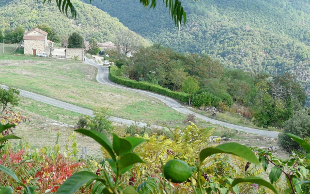 La Petite Cour Verte