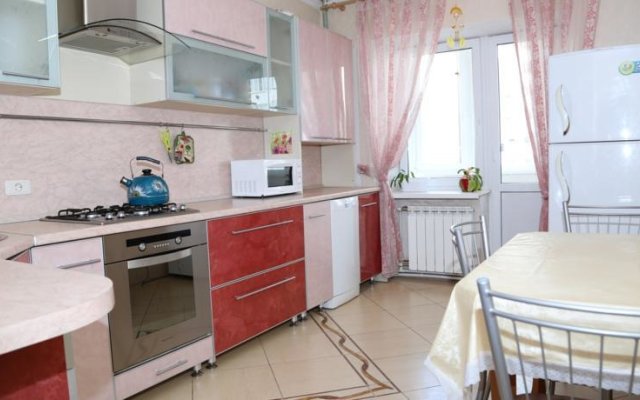 Spacious Apartment on Chernyshova