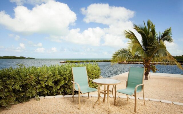 Palm Point