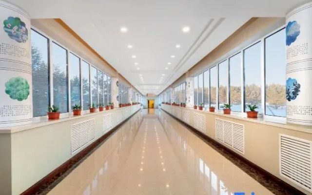 Mohe Songyi Hotel (Arctic Village)