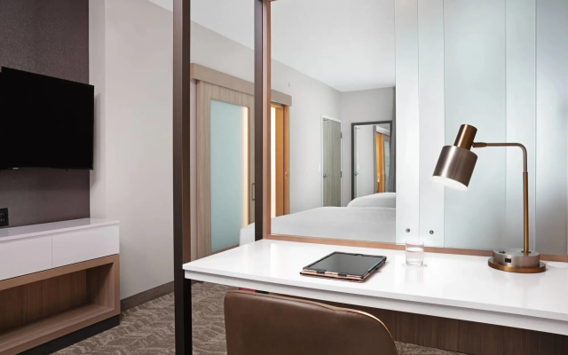SpringHill Suites by Marriott Orlando Theme Parks/Lake Buena Vista