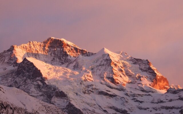 Hotel Bellevue Wengen - Best view in town