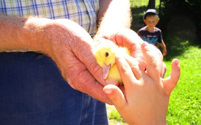 Zaißlhäusl Hof Ferienwohnungen