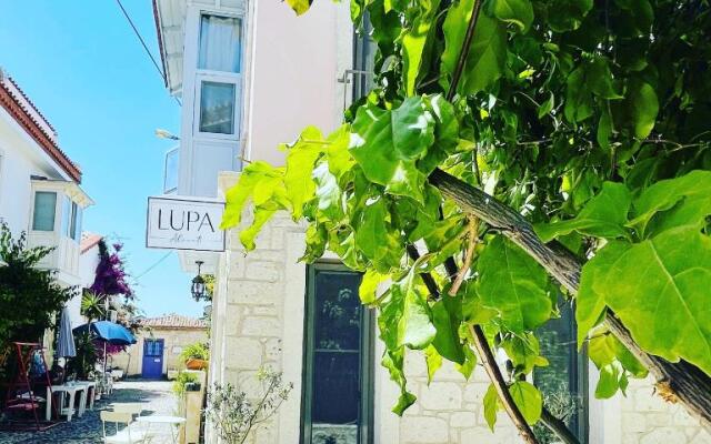 Lupa Alacati