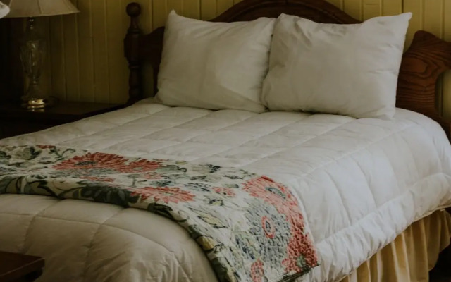 Camp de Base Gaspésie