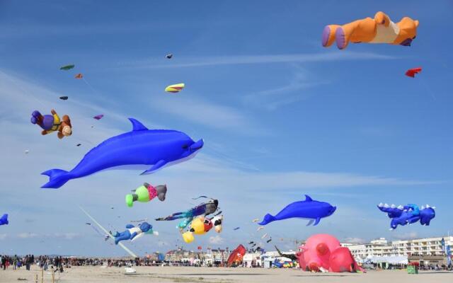 Cocoon Berckois 250M De La Plage + Wifi + Parking Public