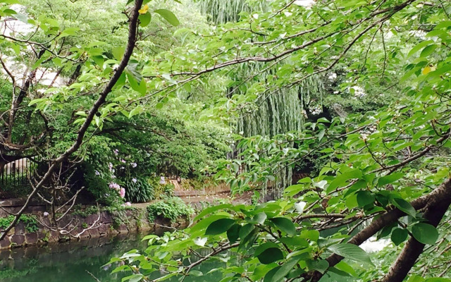 Resi Stay Heian Sakura