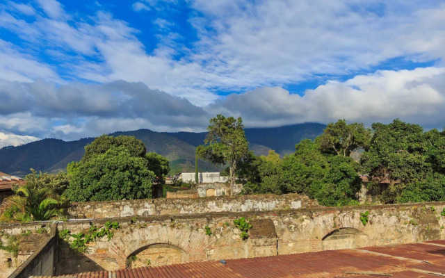 Las Camelias Inn