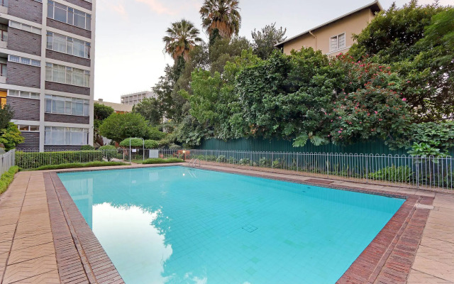 Afribode Acc Studio Martini