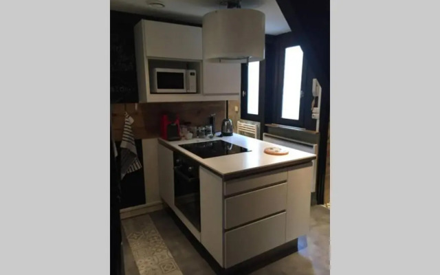 T3 duplex industriel hyper centre ville historique