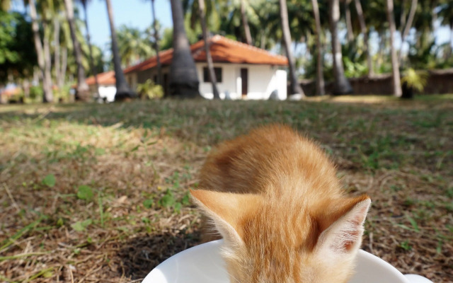 Kitelantis Hotel and Resort