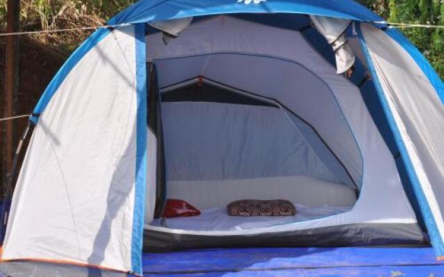 Wildwood Campfires