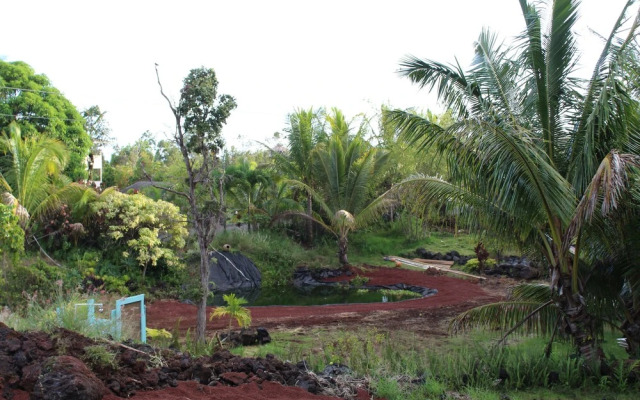 Sweet Spot Stay - Tikis and Treetops