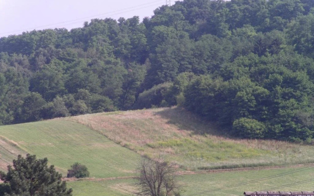 Hotel Felsberger Hof