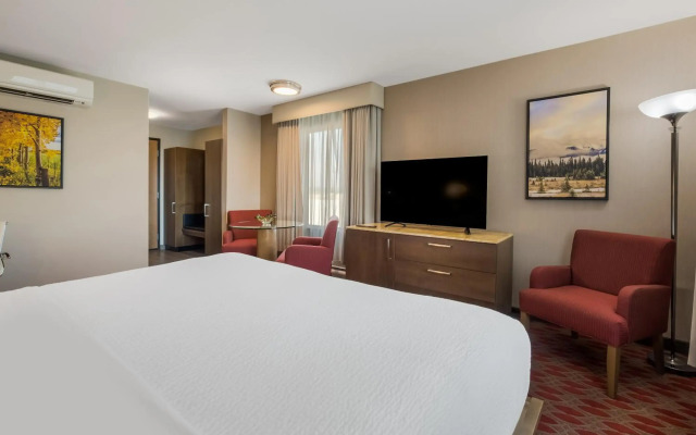 Hotel 11, MOD A Sonesta Collection