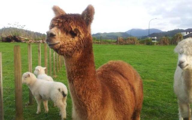 The Little Farm Coromandel