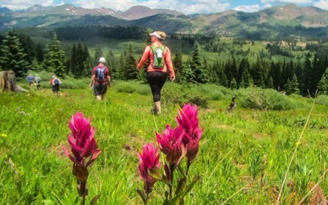 Lionshead Village - Montaneros 1 Bedroom