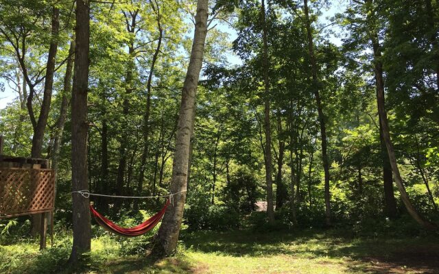 Share & Guest House Hakuba Share