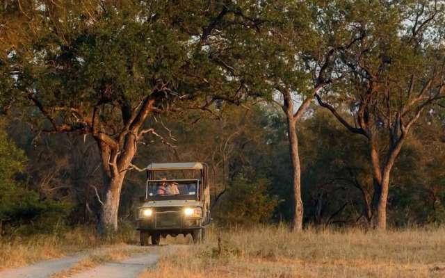 Rhino Walking Safaris