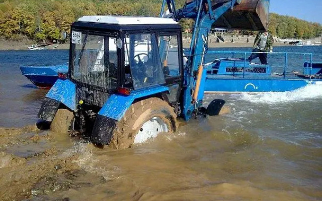 Лесная Сказка