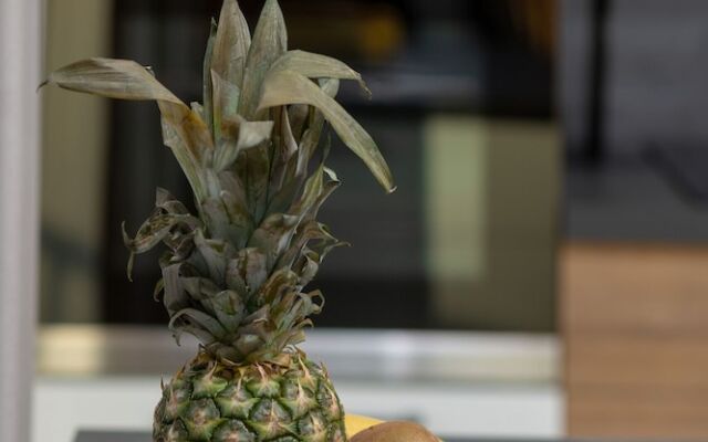 Warsaw Apartment Szajnowicza by Renters