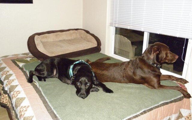 Sea Haven Motel & Guest House