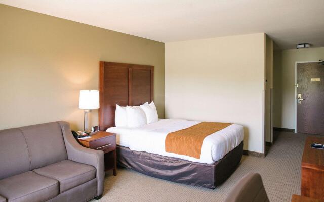 Comfort Inn And Suites Custer