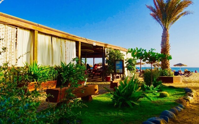 Angulo House