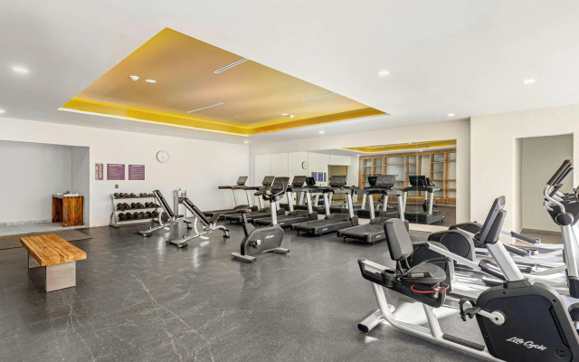 Cleviá, San Miguel de Allende, Autograph Collection