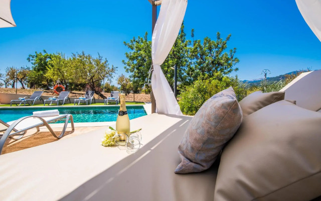 Puig d'en Guardiola ID:74768