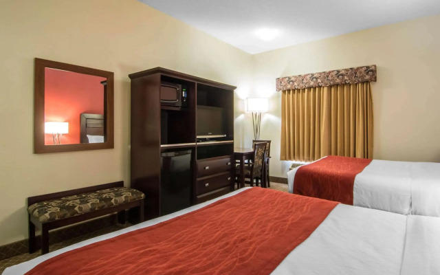 Comfort Inn & Suites Airport South