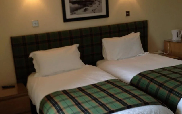 The Island Bear B&B